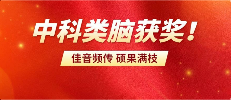 祝賀|中科類(lèi)腦獲得安徽省人工智能技術(shù)獎(jiǎng)一等獎(jiǎng)