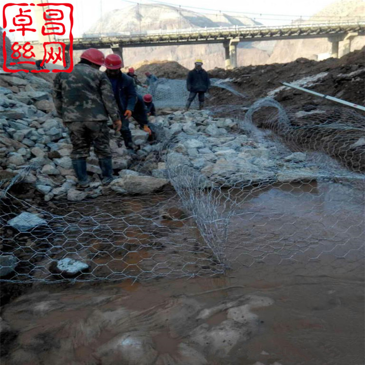 1657187028211072129.jpg 120.jpg