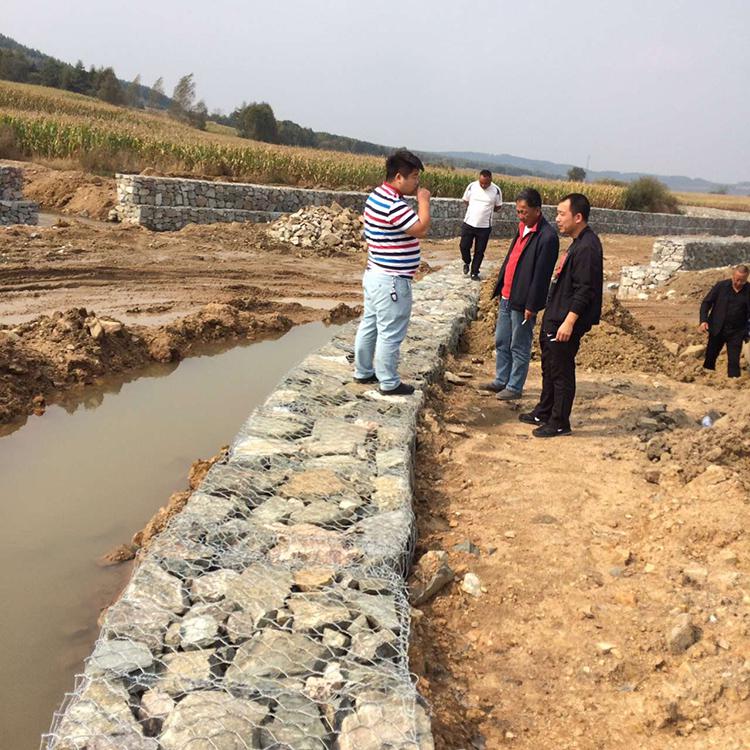 1657532077501037334.jpg 233.jpg