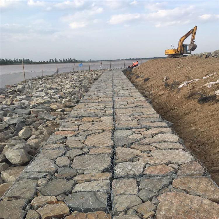 1660008639271043708.jpeg 1782(46).jpeg