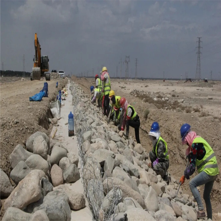 1660181151967035698.jpg 1782(12).jpg