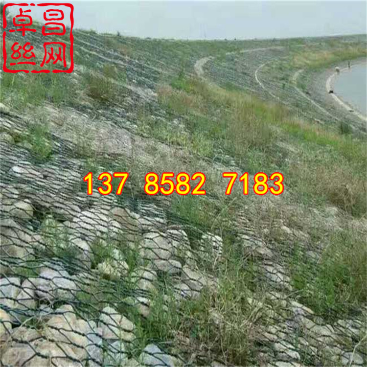 1661908464127077625.jpg 1740 (4).jpg