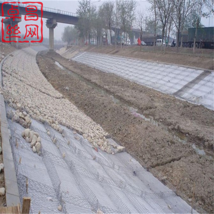 1690337357115023153.jpg 427.jpg