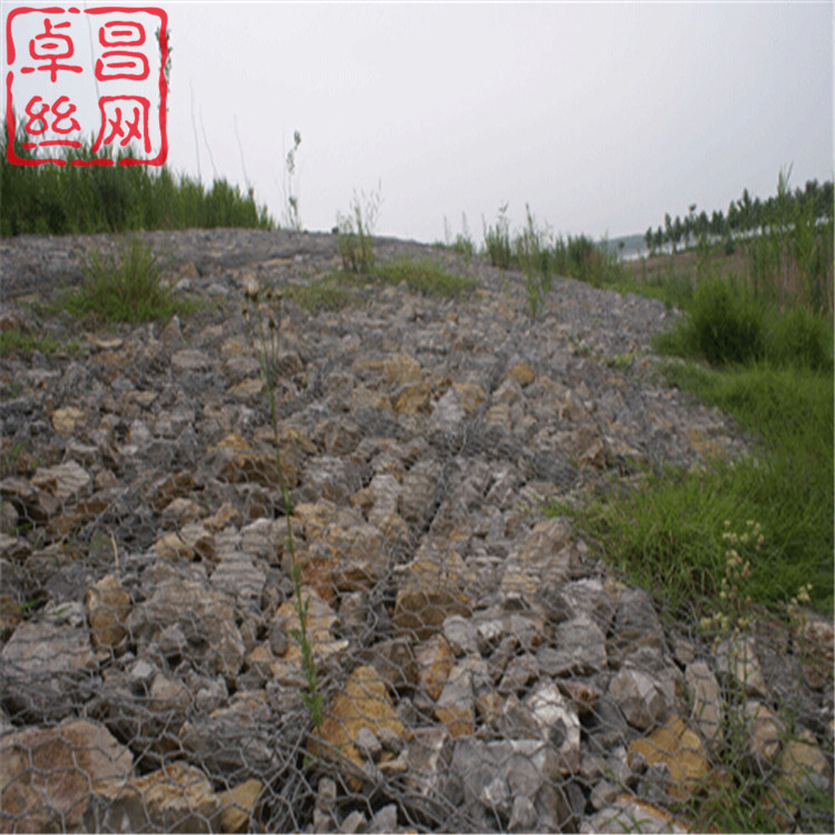 1690850702938036418.jpg 1197.jpg