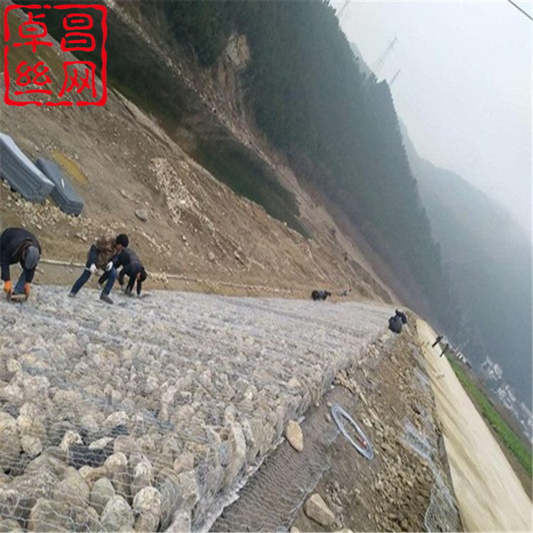 1691891903036096138.jpg 1767 (4).jpg