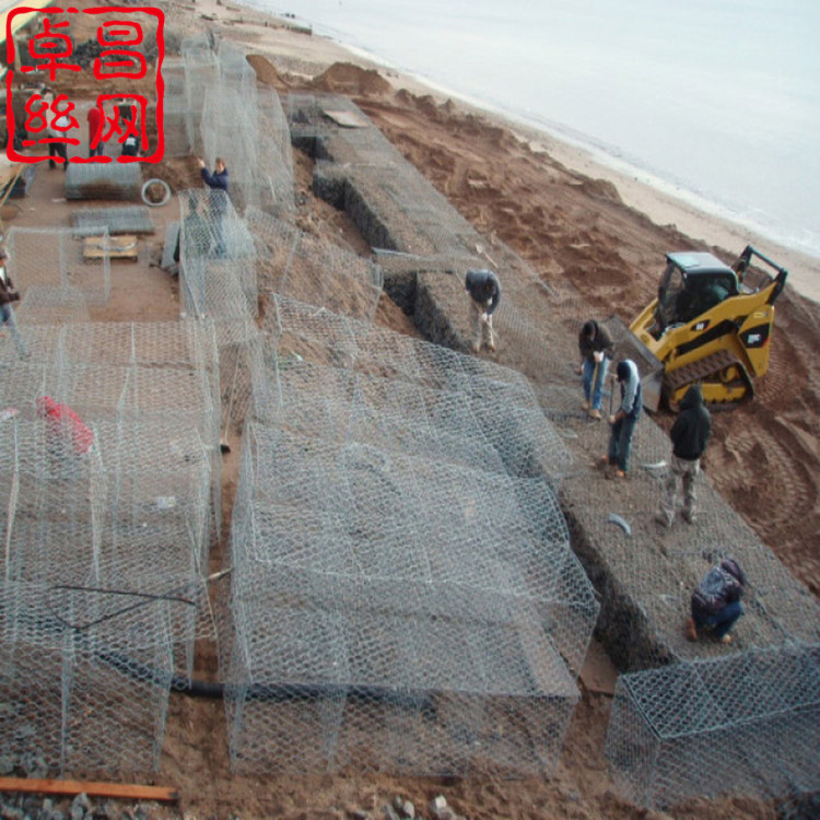 1693445420245031933.jpg 卓昌 (571)_副本.jpg