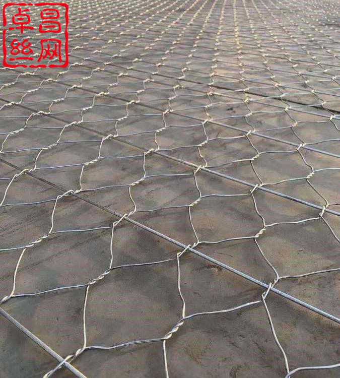 1693964963666020963.jpg 1784 (5).jpg