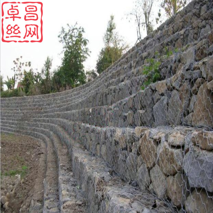 1696038083912058433.jpg 928_副本.jpg