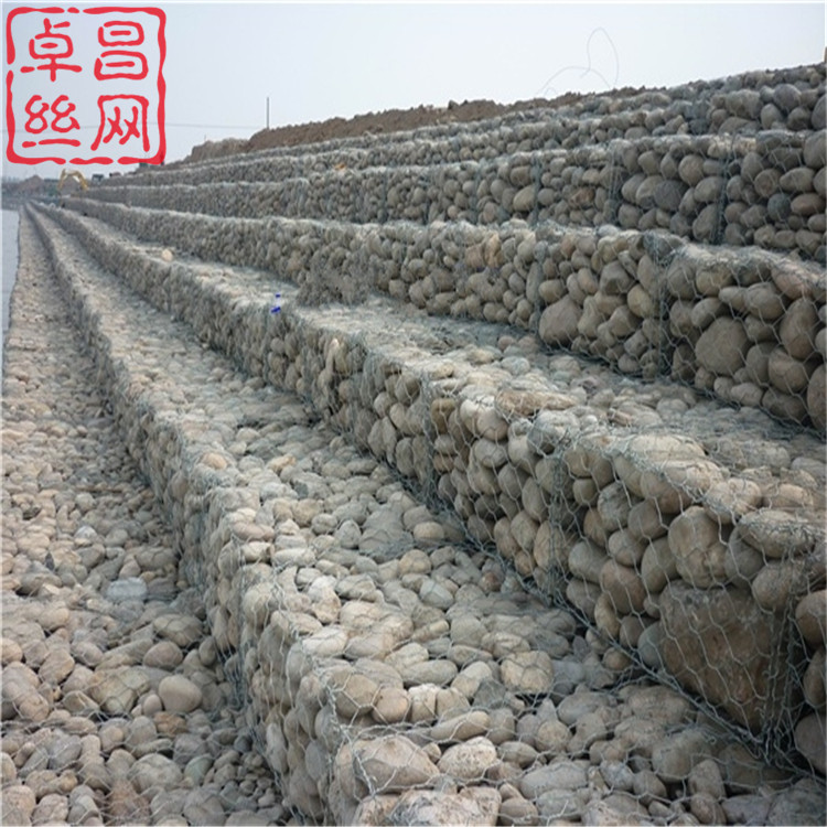 1696123810956036372.jpg 678.jpg