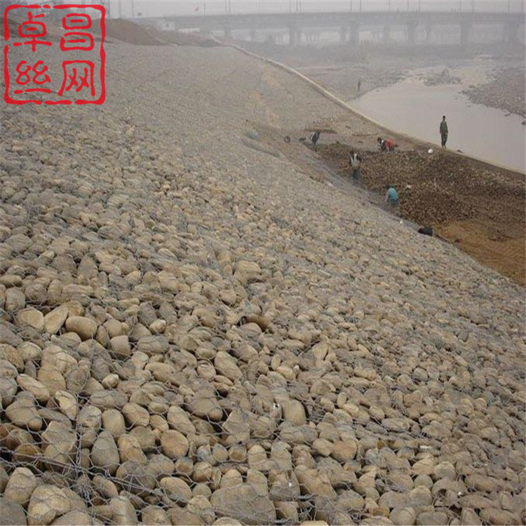 1696297521566041603.jpg 568.jpg