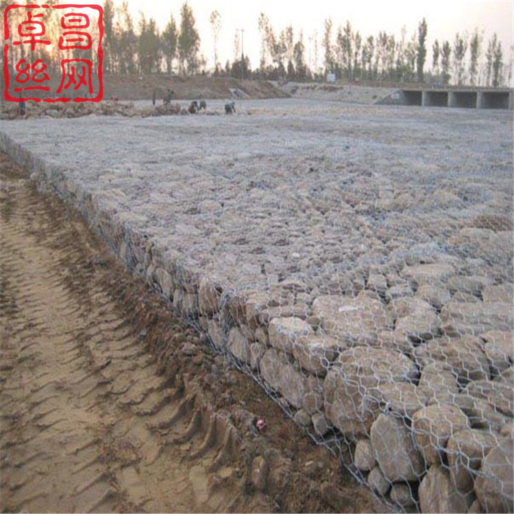 1696384482090085148.jpg 583.jpg