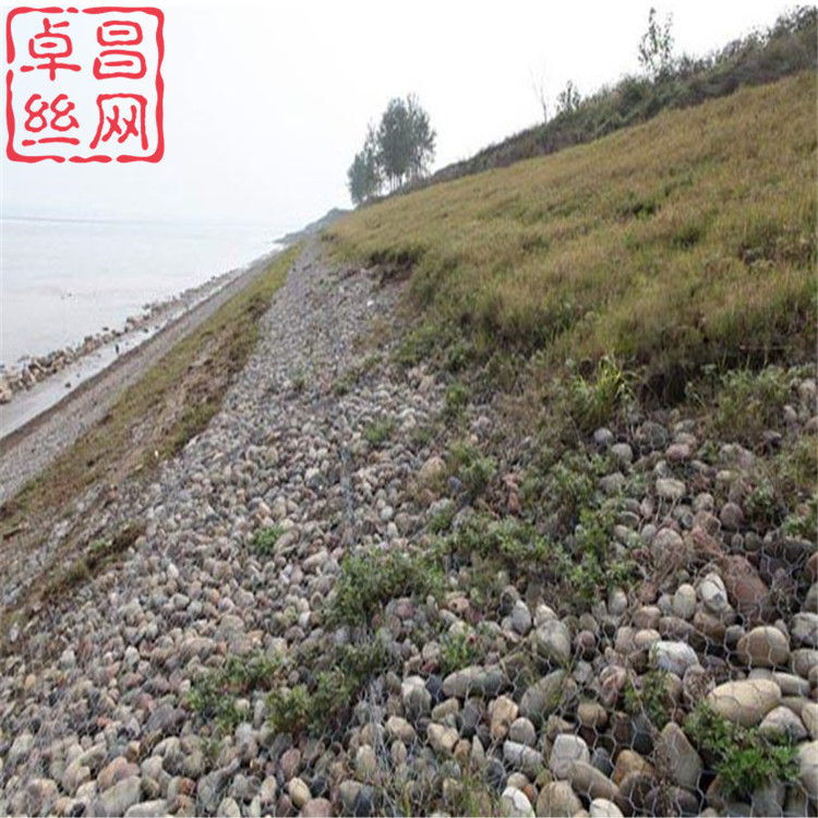 1696815807039070226.jpg 608.jpg