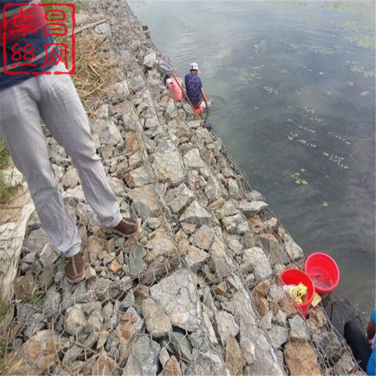 1697076065095002851.jpg 1264.jpg