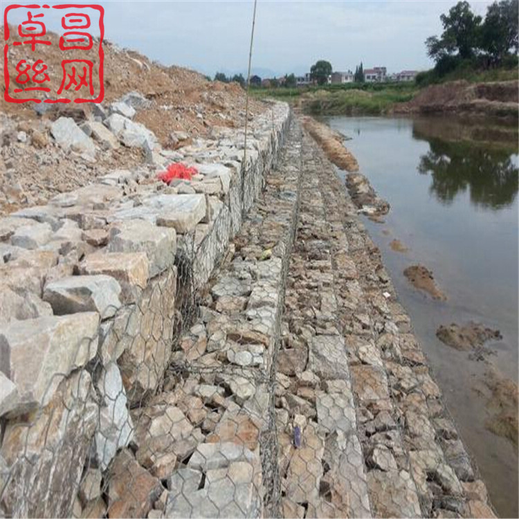 1697680559407015048.jpg 1270.jpg