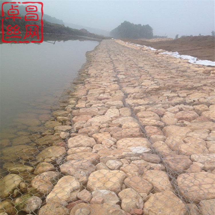 1704597609973011217.jpg 1467.jpg